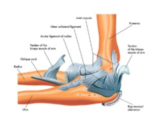 Ligament Injuries