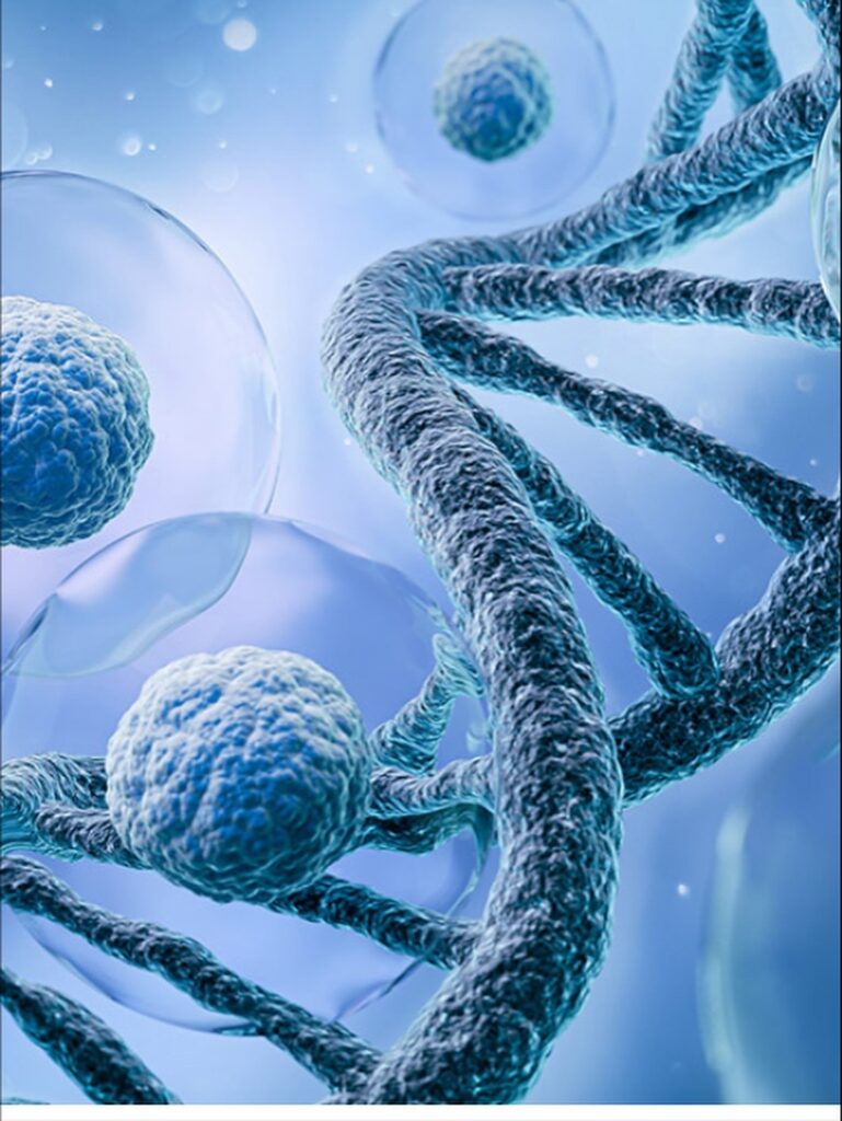 THE FUTURE OF HEALTH IS IN BIOLOGY 3 Stem Cell