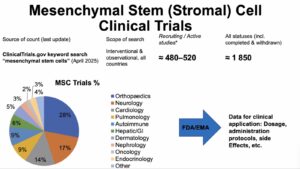 WhatsApp Image 2025 10 29 at 1.40.40 PM