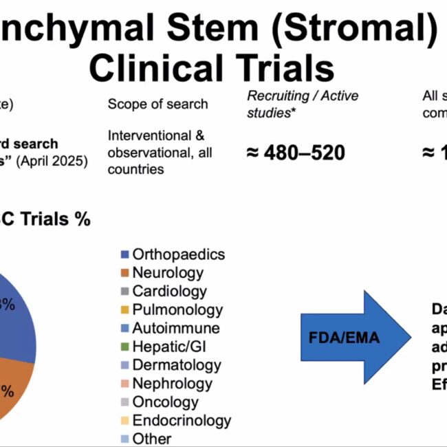 KNEE PAIN ON REGENERATIVE MEDICINE 4 WhatsApp Image 2025 10 29 at 1.40.40 PM
